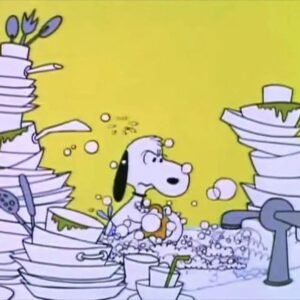 1 MÊS DE FAXINA PARA OS NOIVOS DESCANSAREM