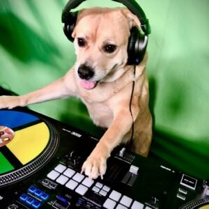 1 HORA A MAIS DA BANDA (INIMIGO DO FIM)